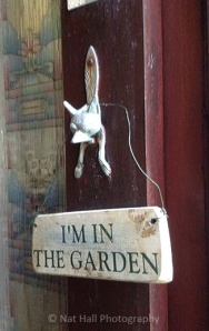 i am in the garden